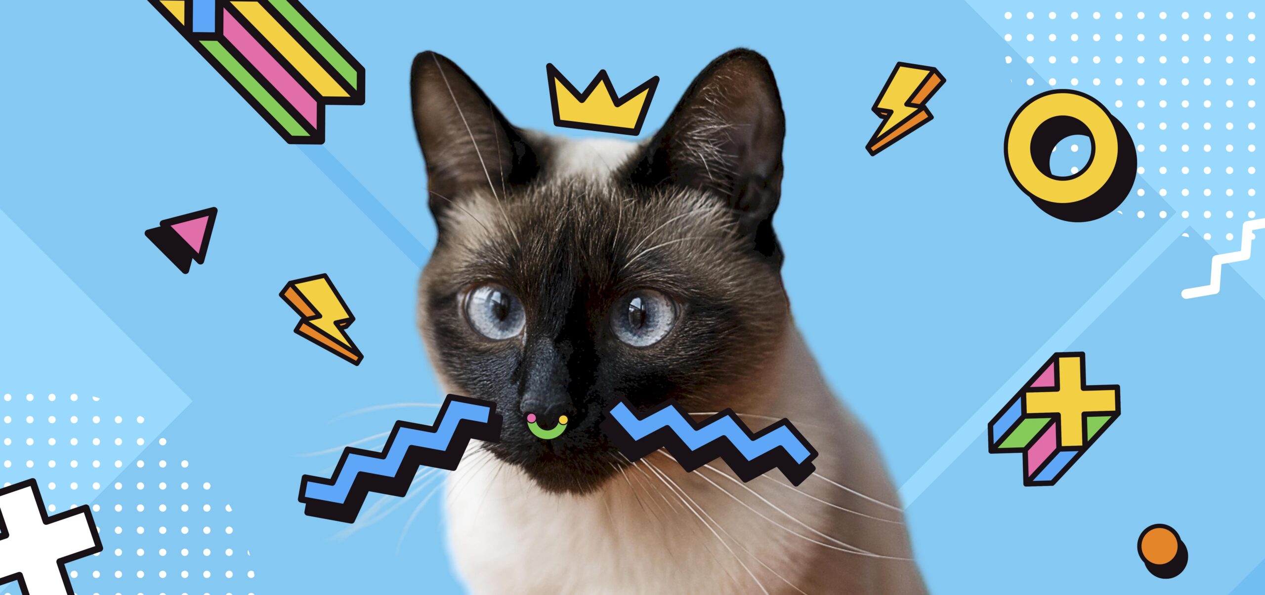 funny cat names